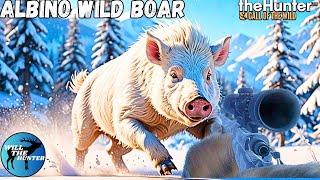 Hunting An Albino Wild Boar On Medved Taiga! | TheHunter Call Of The Wild