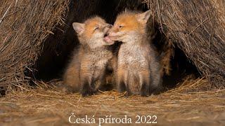 Česká příroda 2022 | CZECH NATURE