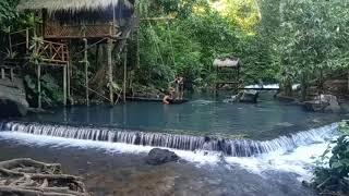 Wisata Bunut Ngengkang || Wisata Alam yang lagi viral di Lombok Barat