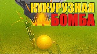 РЕАКЦИЯ Рыбы на Кукурузные Палочки и Жареный Арахис! Подводные съёмки.