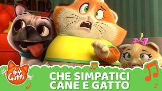 @44GattiIT | Canzone "Che simpatici Cane e Gatto" [VIDEOCLIP]