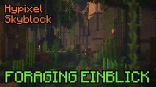 FORAGING UPDATE wird konkreter (Hypixel Skyblock)