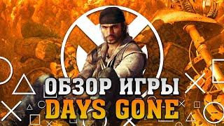 Обзор Days Gone: Худший Эксклюзив? [2020]