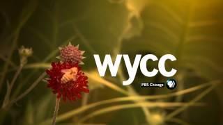 WYCC PBS CHICAGO