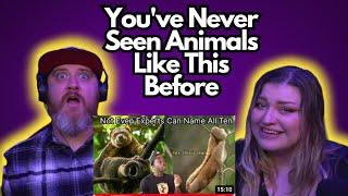 You've Never Seen Animals Like This Before @mndiaye_97 | HatGuy & @gnarlynikki