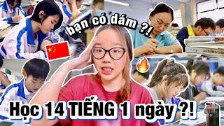 Học 14 TIẾNG ngủ 4 TIẾNG theo thói quen của học sinh TRUNG QUỐC và CÁI KẾT SHOCK !? ( cứu )