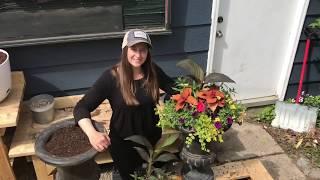 Everyday Workbench: Introduction to container gardening