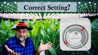 How Long Should Lights be On for Seedlings - Set Timers Correctly.