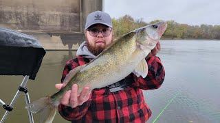 TROLLING CRANKBAITS FOR CHUNKY OHIO RIVER WALLEYE/SAUGEYE.