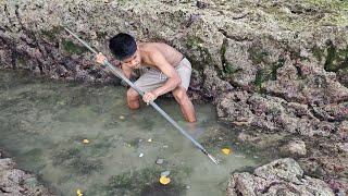 Nombak ikan dikolong Gubuk Kakek, Hasil laut yang melimpah,