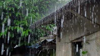 Heavy Rain and Thunderstorm Lullaby, Fall Asleep in 5 minutes | Sleep tight, sweet dreams