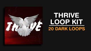 TRAVIS SCOTT LOOP KIT "THRIVE" - CUBEATZ, GUNNA, PVLACE, WONDAGURL SAMPLE PACK