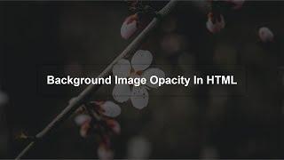 How To Set Background Image Opacity In HTML | Opacity In CSS