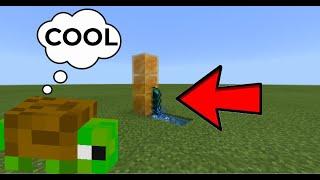 A minecraft trick I never knew about #Shorts