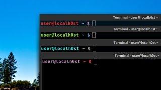 Change Terminal Prompt Color! (Linux Mint & Ubuntu) EASY!