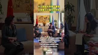 外交部部长助理华春莹出席爱尔兰国庆招待会