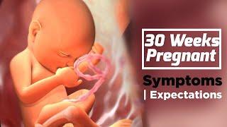 30 Weeks Pregnant Baby Development | Ultrasound Dimensions | The Voice Of Woman