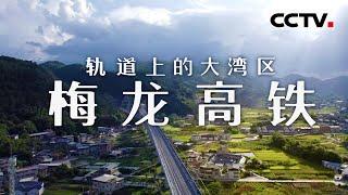 《轨道上的大湾区 梅龙高铁》一条设计时速350公里的高速铁路  凝聚着中国高铁16年发展的丰硕成果【CCTV纪录】