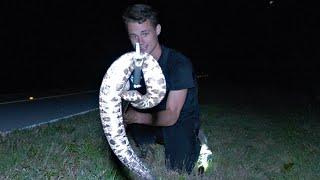 A DEADLY NIGHT IN THE FLORIDA EVERGLADES!