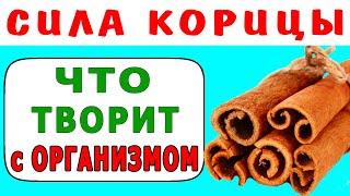 Целительная СИЛА КОРИЦЫ   что Творит Корица с Организмом   Польза Корицы