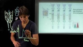 Topic 4.9 - Size exclusion chromatography