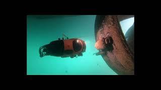 Underwater Hull Inspection with Seasam ROV by Delair Marine