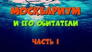 Москвариум и его обитатели - часть 1( Пресноводная экспозиция)