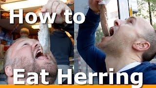 3 BEST ways to Eat Herring in Amsterdam with Woltersworld