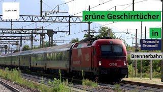 grüne Geschirrtücher in Branzoll Bronzolo an der Brennerbahn  |  Alex E