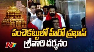 Hero Prabhas Visits Tirumala Tirupati Temple | Adipurush Pre Release Event | Ntv