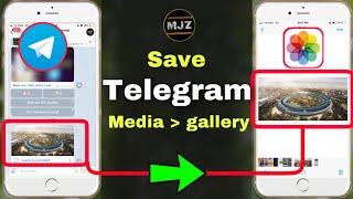 How to save Telegram Media’s To Gallery android and iOS