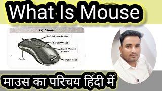 What is mouse? || Full Explanation of mouse