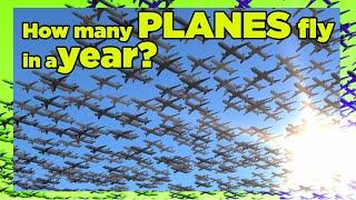 How many PLANES fly in a YEAR? ️️ 3D Animation