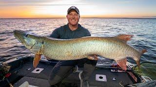 3 50'' MUSKIES IN ONE DAY!!!