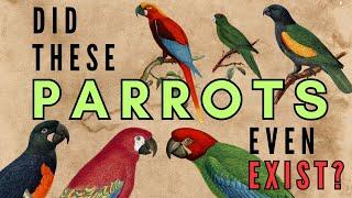 8 Disputed Species of Parrot from the Caribbean - Hypothetical Species