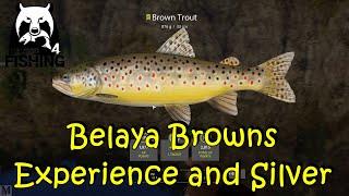 Russian Fishing 4 Belaya Brown Experience and Silver Tutorial