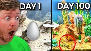 Reacting to SIMULATING a DESERT for 100 DAYS!