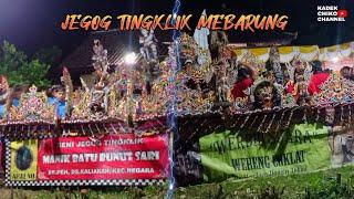 JEGOG TINGKLIK MEBARUNG - MANIK BATU vs WERENG COKLAT