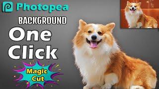 Photopea Tutorial|Background Remove|Background Change|Magic Cut|Photopea Beginner