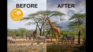 Giraffe Editing Tutorial Hyperlapse