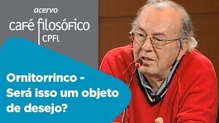 Ornitorrinco - Será isso um objeto de desejo? | Francisco de Oliveira