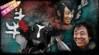 【1080P Full Movie】《斗牛/Cow》黄渤演技封神之作 看哭人的黑色喜剧 | 黄渤 闫妮 高虎【捷成华视华语影院】