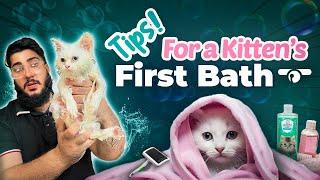 First time bathing a kitten | Give your kitten or Cat a bath with these simple tips