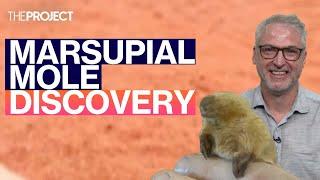 The Bizarre Origin of Marsupial Moles