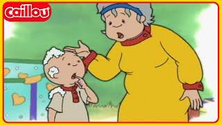 Caillou játszani akar | Caillou Magyarul - WildBrain