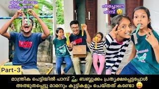 മാന്ത്രിക പെട്ടിയിൽ പാമ്പ്  ബബ്ലുക്കം പ്രത്യക്ഷപ്പെട്ടപ്പോൾ അത്ഭുതപ്പെട്ടു മാമനും കുട്ടികളും