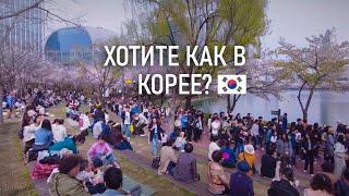 1000000 человек в одном парке. Типичный выходной в Сеуле. Корея Влог