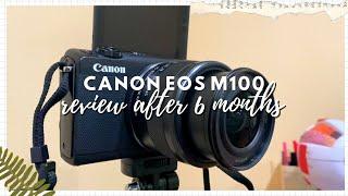 review on the canon eos m100 after 6 months of use 