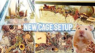 Upgrading Hamster's Natural Cage Setup - German Inspired Enclosure 