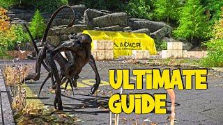 The Ultimate Miscreated Survival Guide